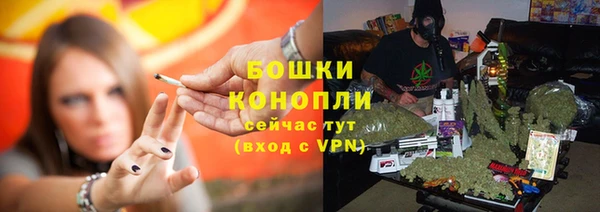 ГАЛЛЮЦИНОГЕННЫЕ ГРИБЫ Осинники