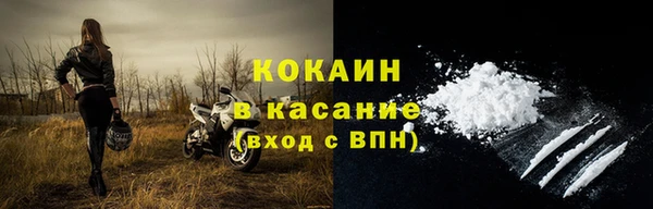 ГАЛЛЮЦИНОГЕННЫЕ ГРИБЫ Осинники