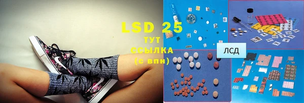 ГАЛЛЮЦИНОГЕННЫЕ ГРИБЫ Осинники
