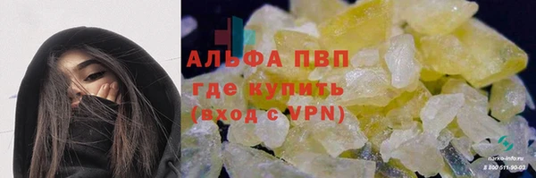 ГАЛЛЮЦИНОГЕННЫЕ ГРИБЫ Осинники