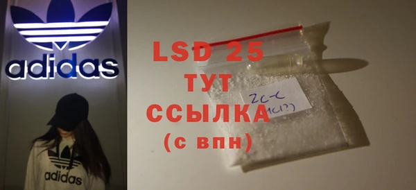 ГАЛЛЮЦИНОГЕННЫЕ ГРИБЫ Осинники